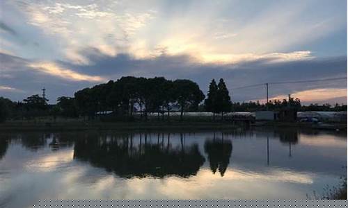 上海奉贤一周天气预报7天详情_上海奉贤一
