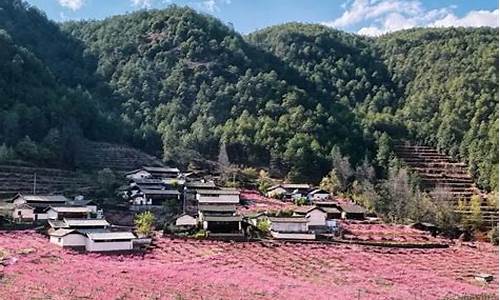 丽江一周天气预报7天查询结果是什么意思_