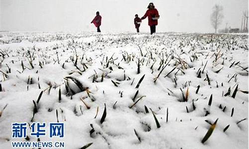 温县气象台天气预报_温县天气预报删除