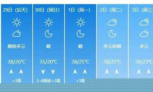 聊城天气预报十五天查询_看看聊城天气预报