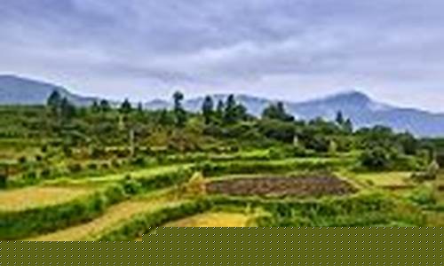 丰城一周天气预报30天最新通知最新_丰城
