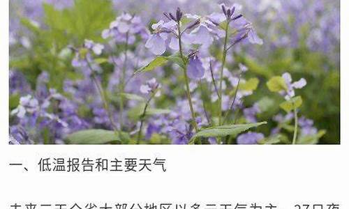 扬州未来一周天气情况怎么样呀_扬州未来一