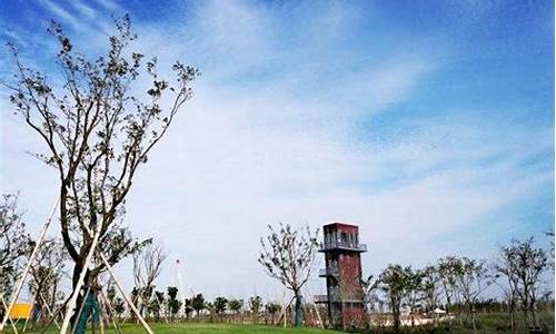 南汇天气预报一周7天查询结果_南汇天气预