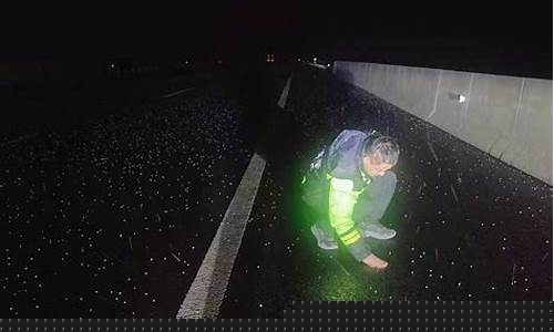 山东聊城未来一周天气预报15天_山东聊城