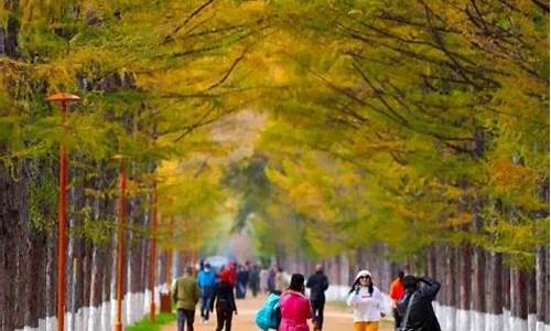 长春天气穿衣指南_长春天气穿衣建议