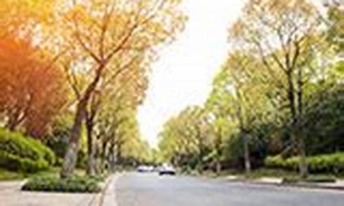 明水天气预报一周7天_明水天气预报24小