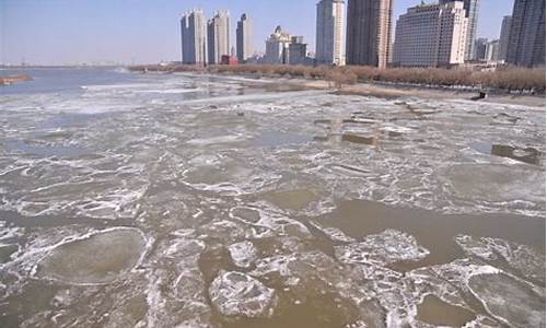 哈尔滨的天气预报30天查询_哈尔滨的天气