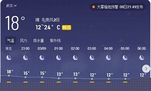 武汉天气预报15天气报 查询_武汉天气预