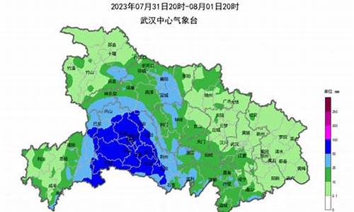 武汉8月天气预报30天_武汉8月天气11