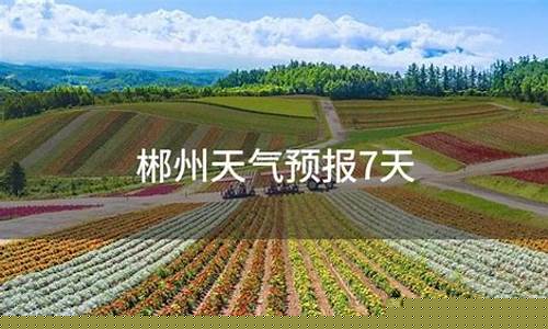 郴州天气预报7天准确_郴州天气预报7天准