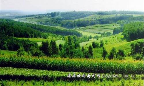 齐齐哈尔天气预报一周天气预报查询最新_齐
