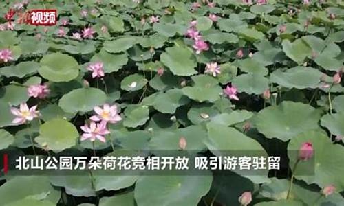 长春市未来一周天气情况如何分析出来_长春市未来一周天气情况如