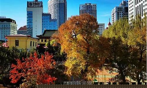 哈市一周天气预报15天气预报_哈市一周天气预报30天气预报情