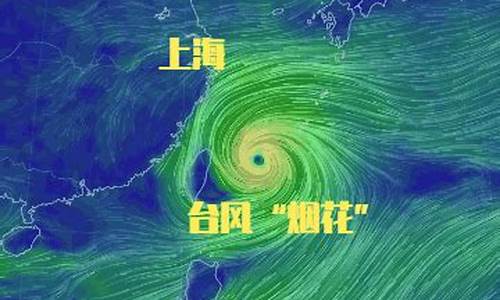 上海台风烟花最新消息_上海台风烟花最新情况
