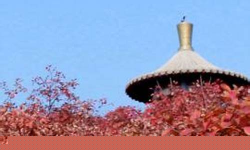 桐柏县天气预报_桐柏县天气预报30天气预报