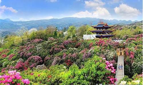 贵州毕节有什么好玩的景点_毕节旅游景点大全