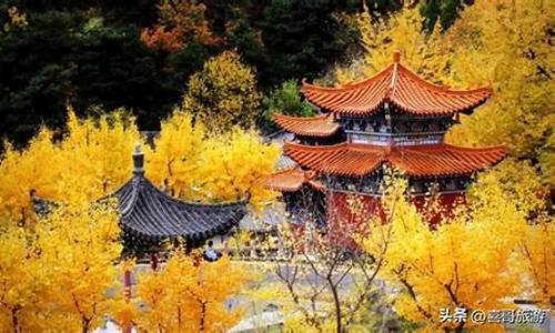曲靖附近旅游景区哪里好玩_附近旅游景区哪里好玩