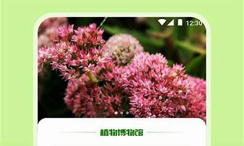 植物预报天气_植物预报天气的例子