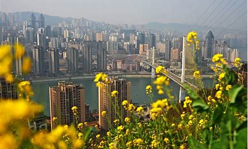 重庆市涪陵区天气预报15天准确_重庆市涪陵区天气预报