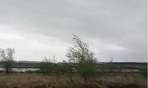 抚远天气预报7天一周_抚远天气情况