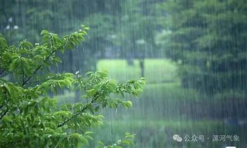 漯河天气预报24小时详情_漯河天气预报24小时详情