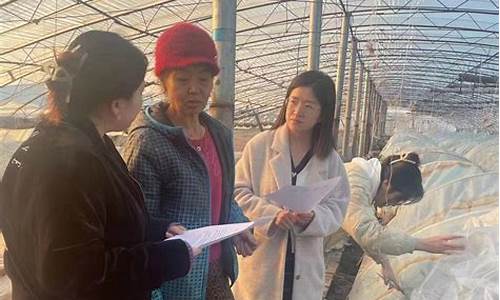 黑龙江绥化青冈天气预报7天_黑龙江绥化青冈天气预报