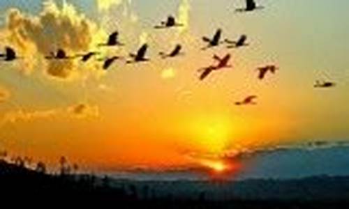 毕节天气预报30天_毕节天气预报30天最新消息