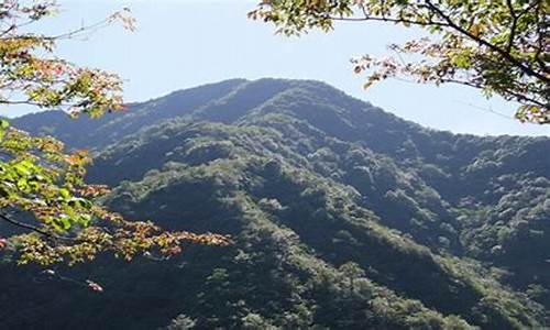 祁门的天气预报_祁门天气预报查询15天