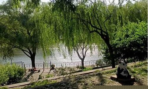 石家庄一周天气变化趋势预测_河北省石家庄市一星期天气预报