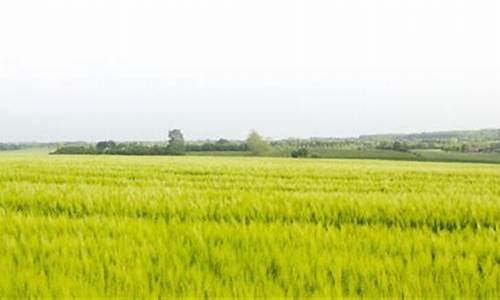 今天息县天气预报_息县天气预警