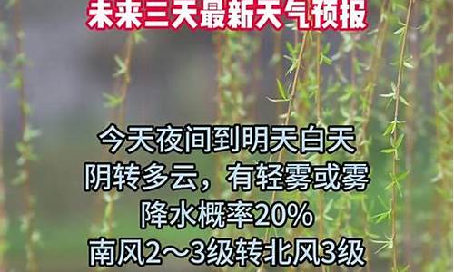 济宁天气预报未来45天_济宁天气预报未来45天查询结果