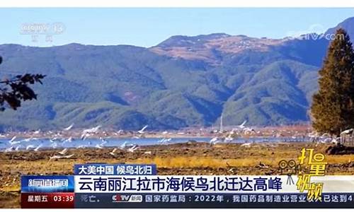 云南丽江气温一周查询_云南丽江气温最近15天查询