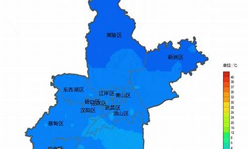 新洲天气预报15天查询!_新洲天气预报15天查询