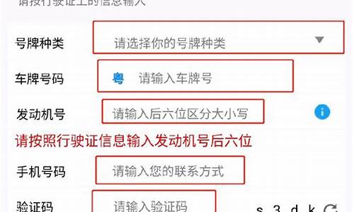 怎么查车辆违章查询_只有车牌号怎么查车辆违章查询