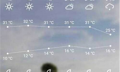叶城天气预报15天查询_叶城天气预报15天查询百度