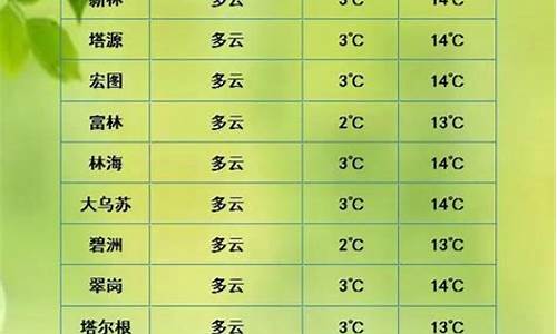 新林天气预报一周天气_新林天气预报
