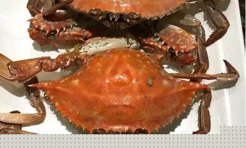 顺德天气预报15天准确一览表查询_顺德天气预报15天准确