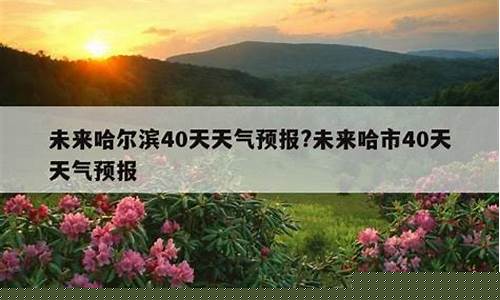 哈市天气预报查询40天_哈市天气预报查询40天