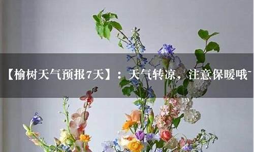 榆树地区天气预报_榆树市天气预报七天