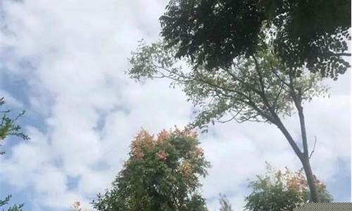 乐清天气_乐清天气预报