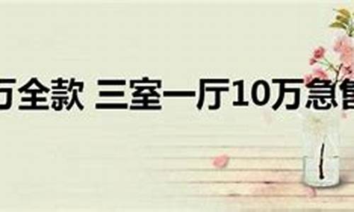 三室二厅20万全款新楼房_三室二厅20万全款